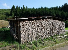 木質バイオマスのエコロジー経済学